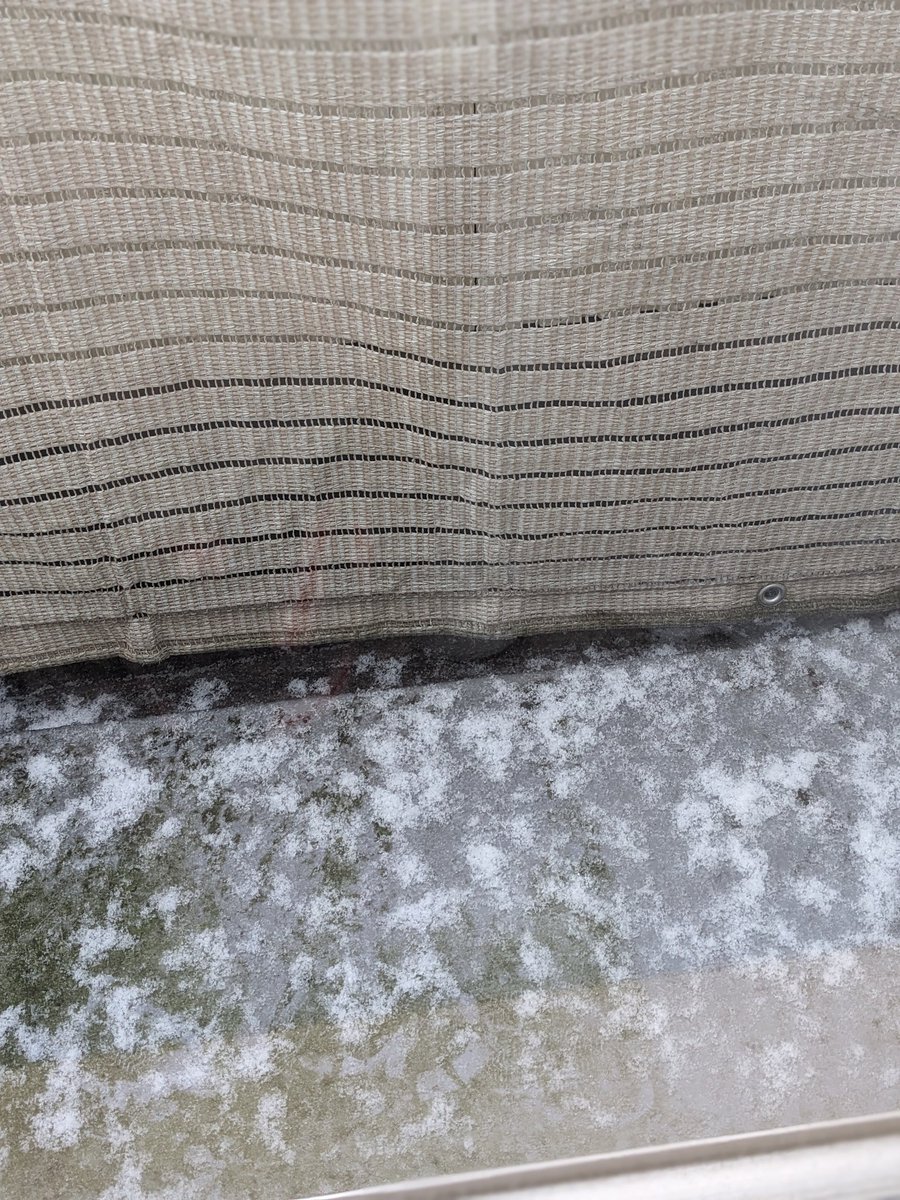 M__maruko's tweet photo. 珍しく雪が積もっては溶け、積もっては溶け❄美味しそうな焼き鳥も添えて(=^･^=) https://t.co/rgArvPMnFw