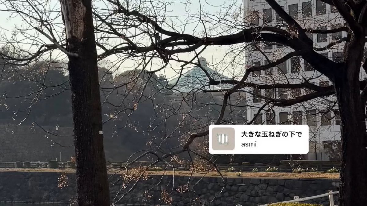 _earthmeal's tweet photo. 一昨日✨ https://t.co/o4pu8MJ69l