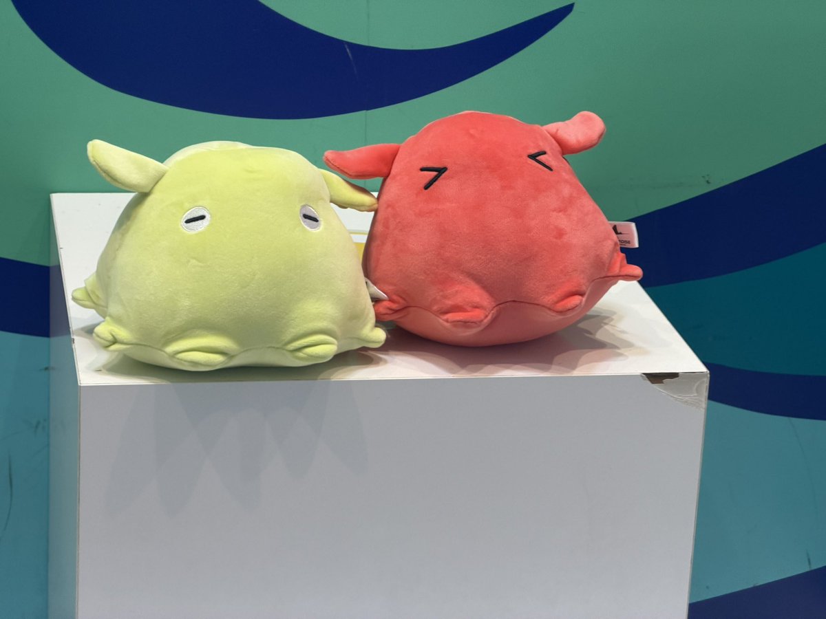 ほんと、みんなメンダコ連れてたよね…笑