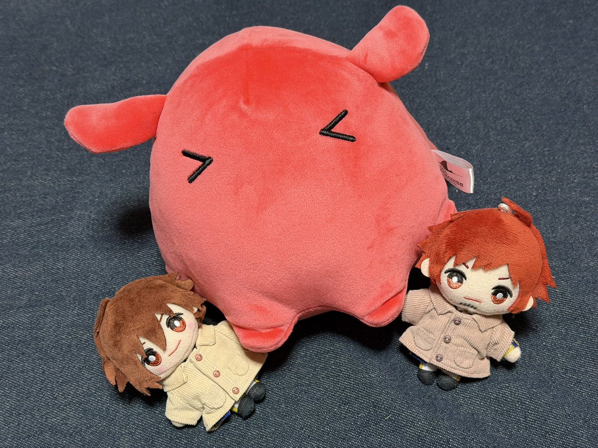 ほんと、みんなメンダコ連れてたよね…笑