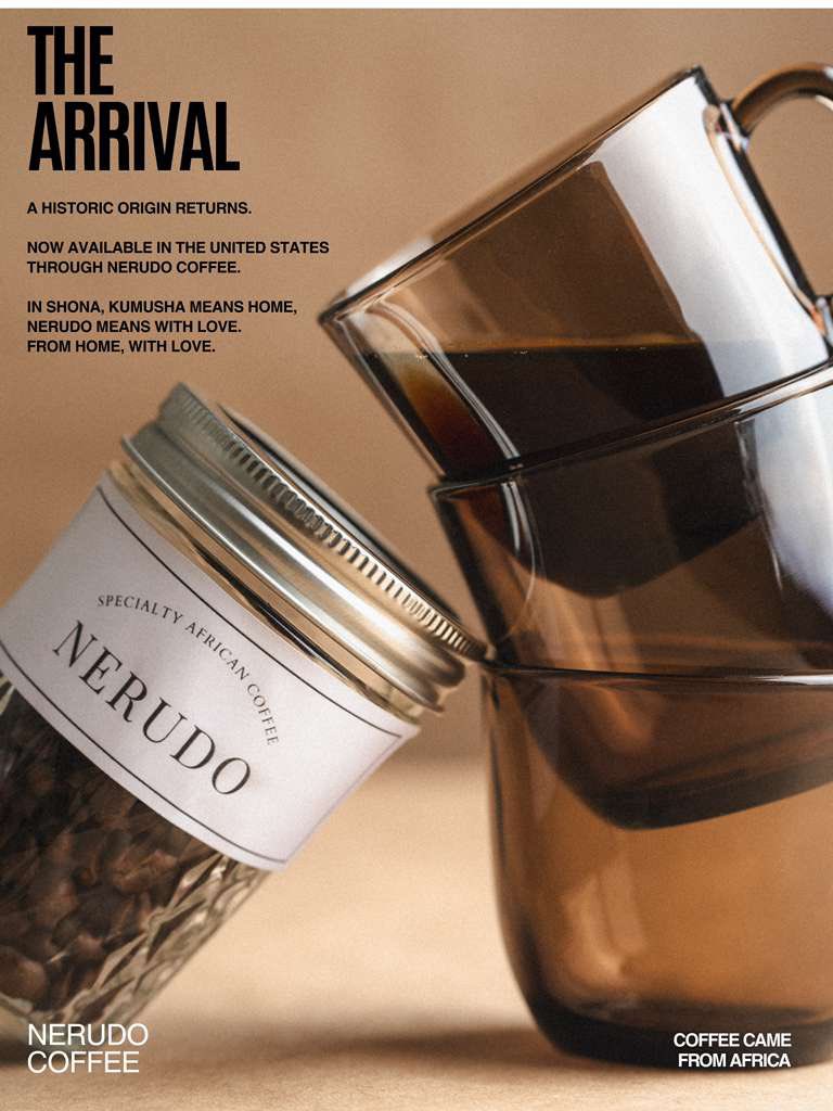 Tinashe Nyamudoka tweet media