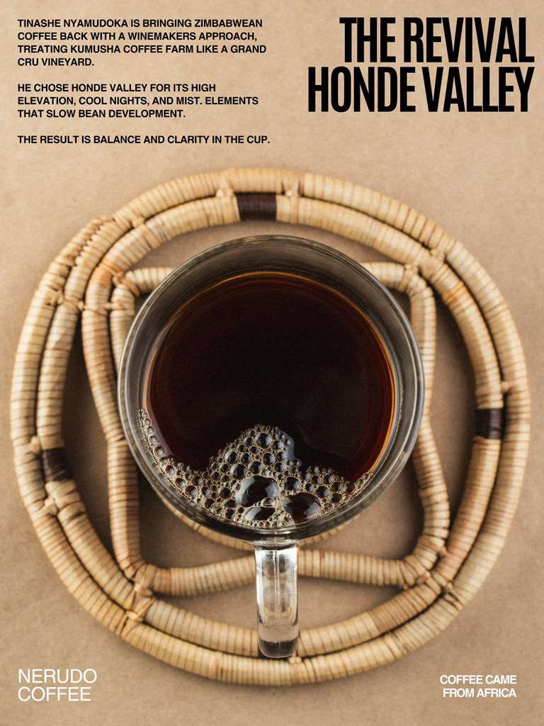 Tinashe Nyamudoka tweet media