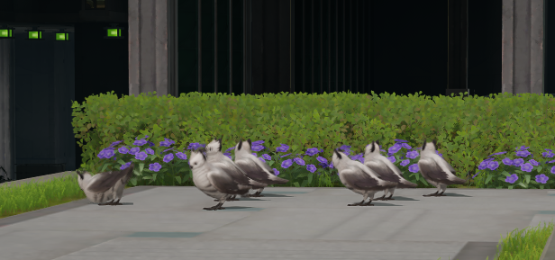 in Wuling, even the fowlbeasts congregate for morning stretches