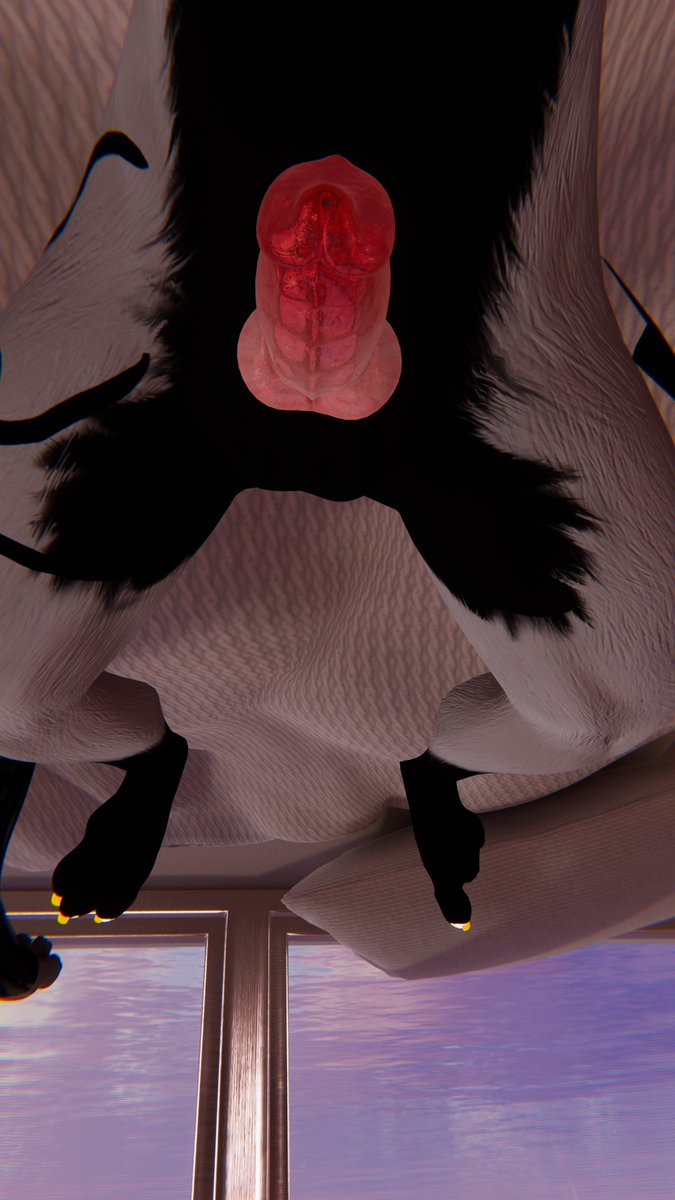 🔞Glitch Rexouium🔞 tweet media