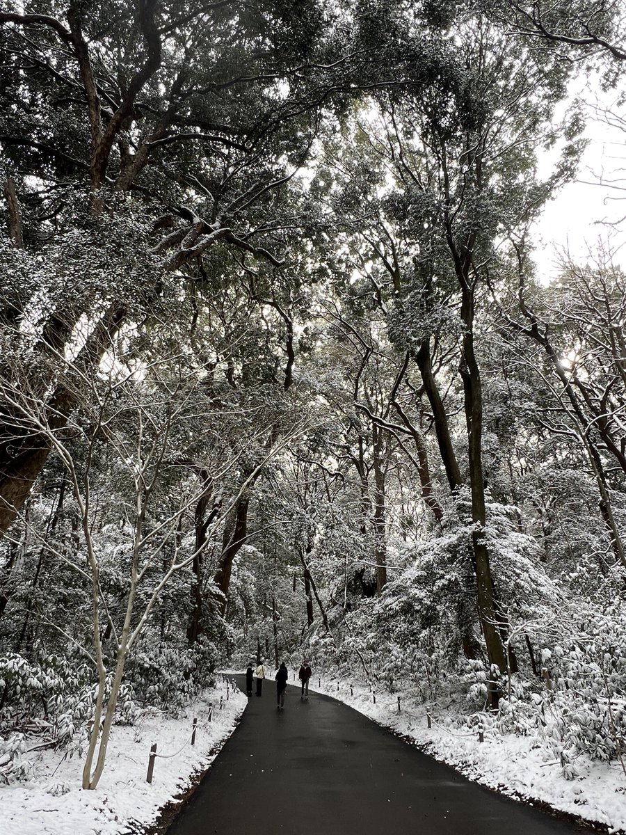 明治神宮に行ったら雪山みたいな雰囲気になってた🏔️