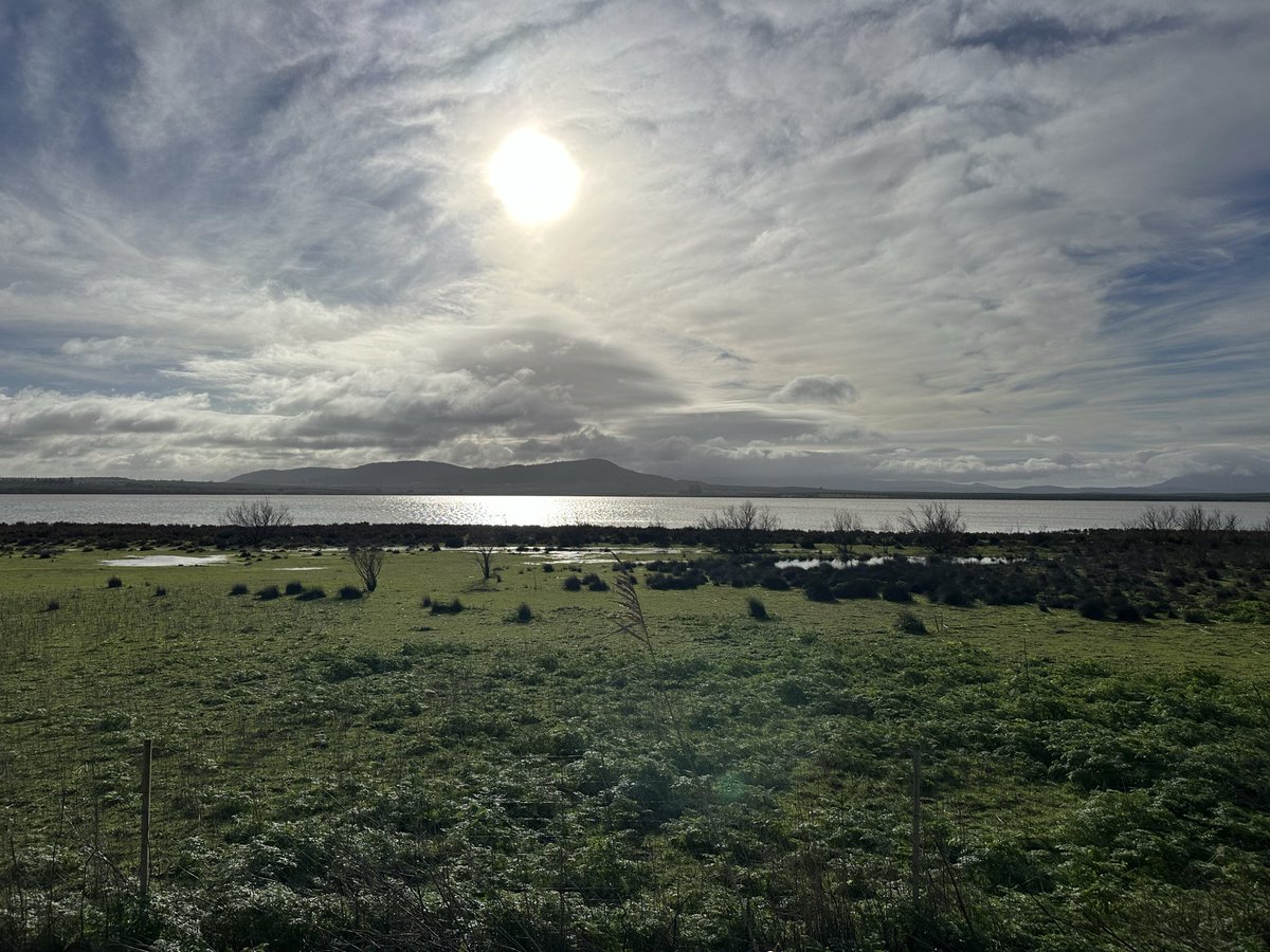 SinergiaInmo's tweet image. La laguna de Fuente de Piedra vuelve a lucir espectacular tras las últimas lluvias 🦩 Un paisaje único que invita a venir, descubrir el pueblo y disfrutar de su calidad de vida 💙
#FuenteDePiedra #Naturaleza #PueblosConEncanto #SinergiaInmobiliaria