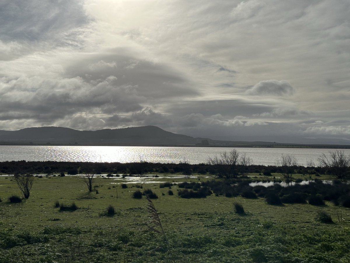 SinergiaInmo's tweet image. La laguna de Fuente de Piedra vuelve a lucir espectacular tras las últimas lluvias 🦩 Un paisaje único que invita a venir, descubrir el pueblo y disfrutar de su calidad de vida 💙
#FuenteDePiedra #Naturaleza #PueblosConEncanto #SinergiaInmobiliaria