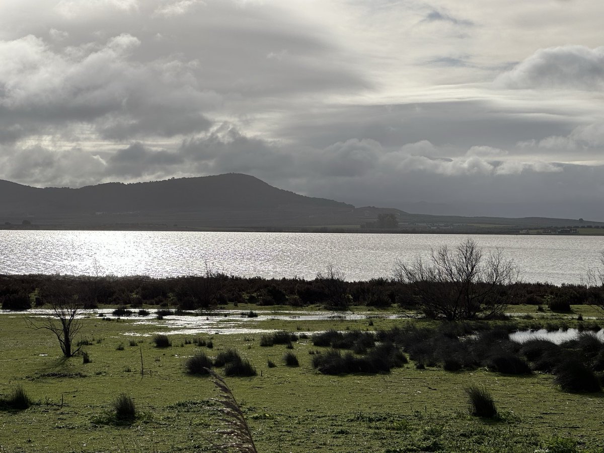 SinergiaInmo's tweet image. La laguna de Fuente de Piedra vuelve a lucir espectacular tras las últimas lluvias 🦩 Un paisaje único que invita a venir, descubrir el pueblo y disfrutar de su calidad de vida 💙
#FuenteDePiedra #Naturaleza #PueblosConEncanto #SinergiaInmobiliaria