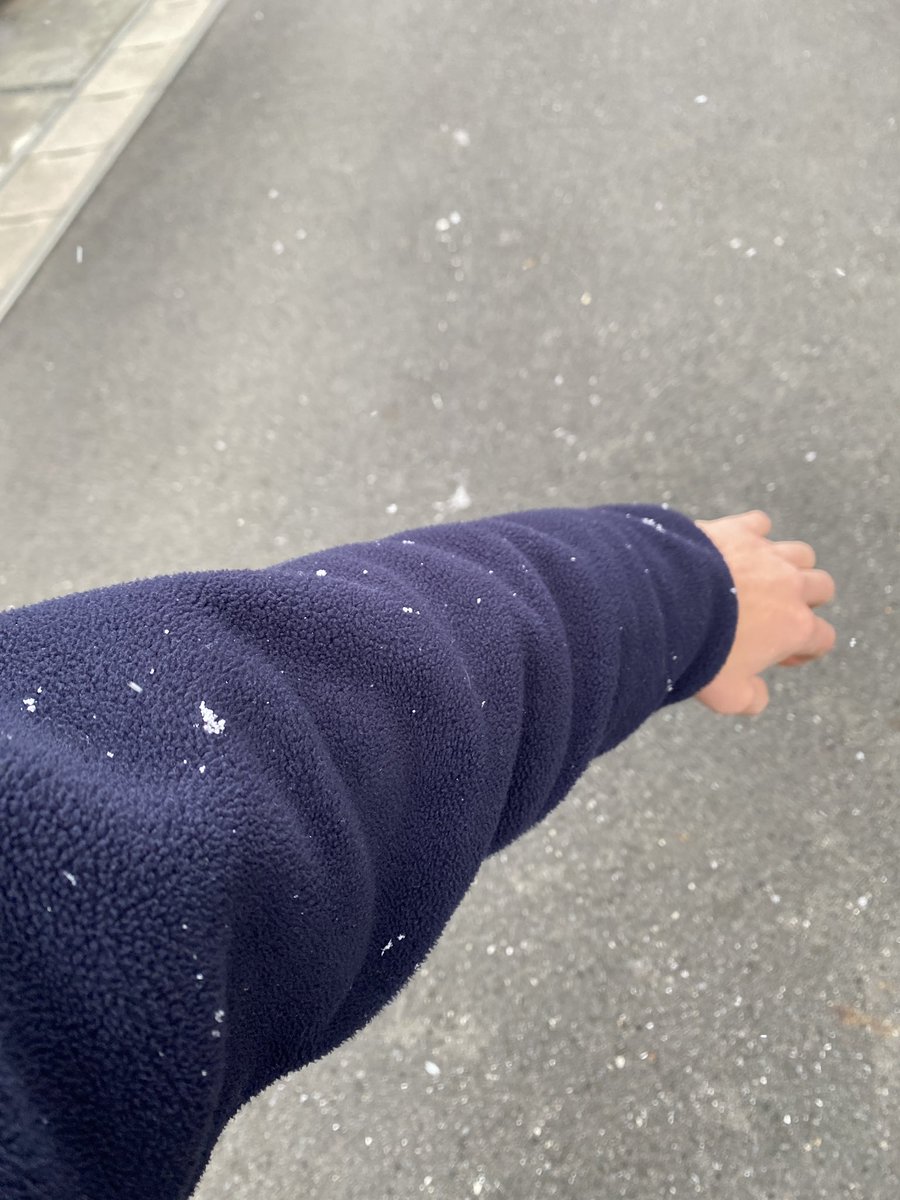 suyanisan's tweet photo. 普段、全く降らない雪が降った https://t.co/nPfVz3DU3e