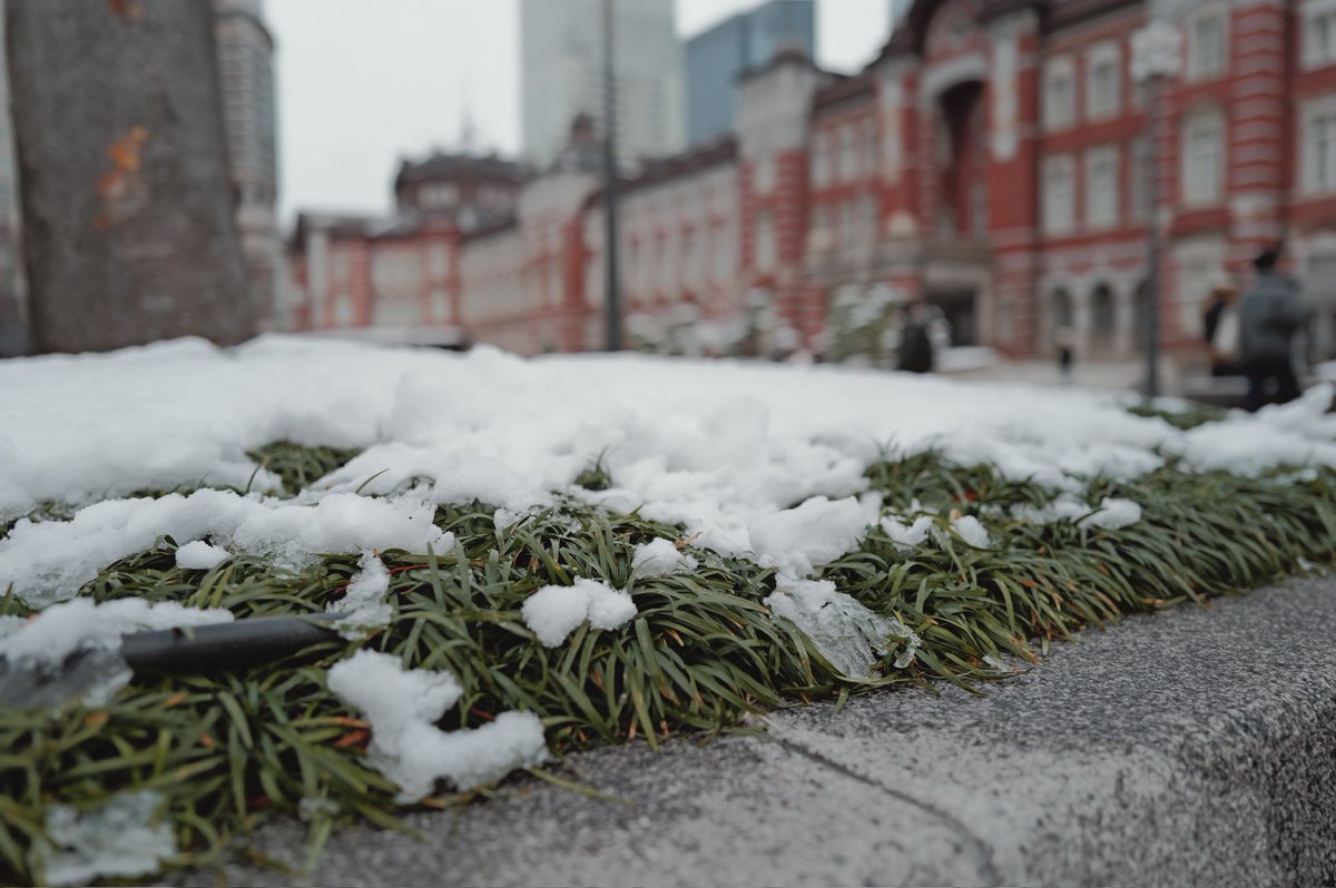 玉兎 | たまうさぎ tweet media