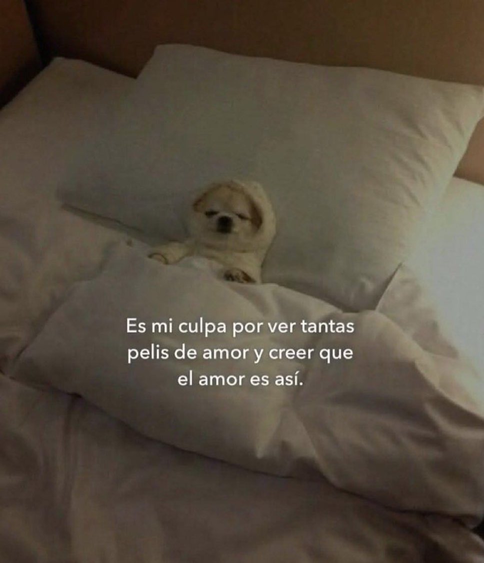 🌙 mini textos tweet media