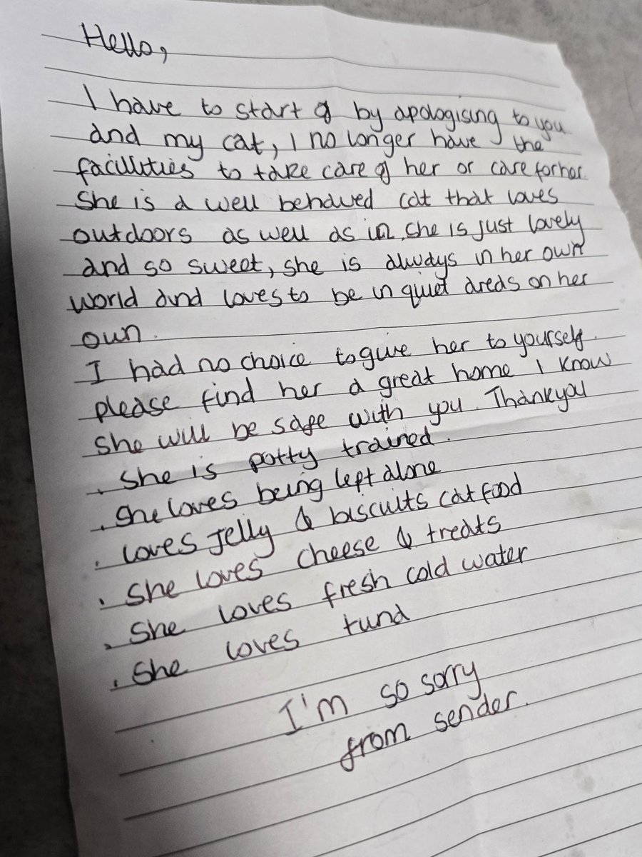 Bradford Cat Watch Rescue tweet media