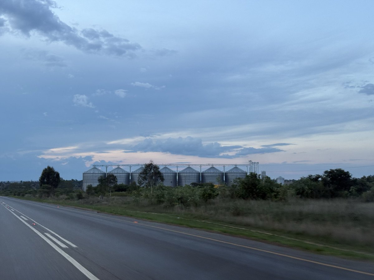 mmatigari tweet media