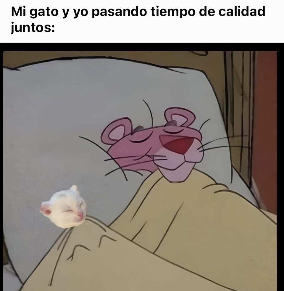 RincnCuriosoo's tweet image. 🖤🖤