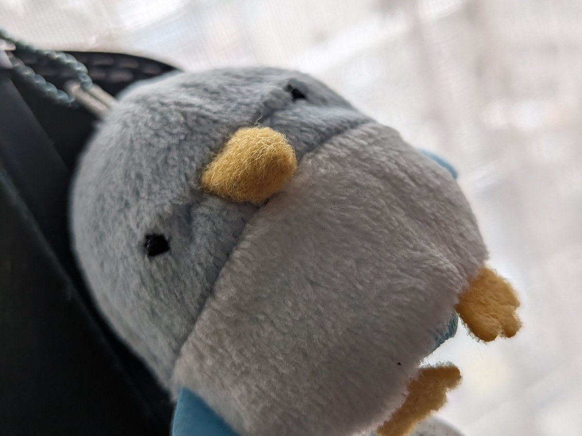ほうきぼし tweet media