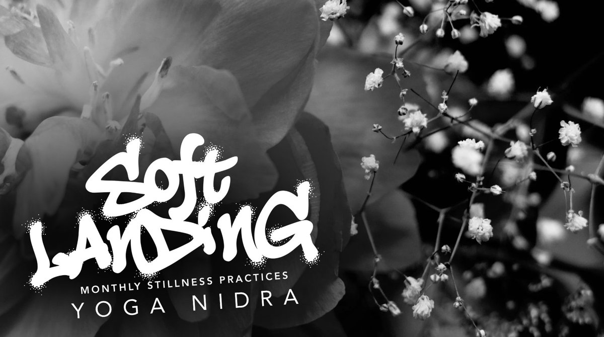 shawnj_moore's tweet photo. Join Me for Yoga Nidra | Feb 15 - https://t.co/MVFq6KvoQE https://t.co/qbyebTLjsF