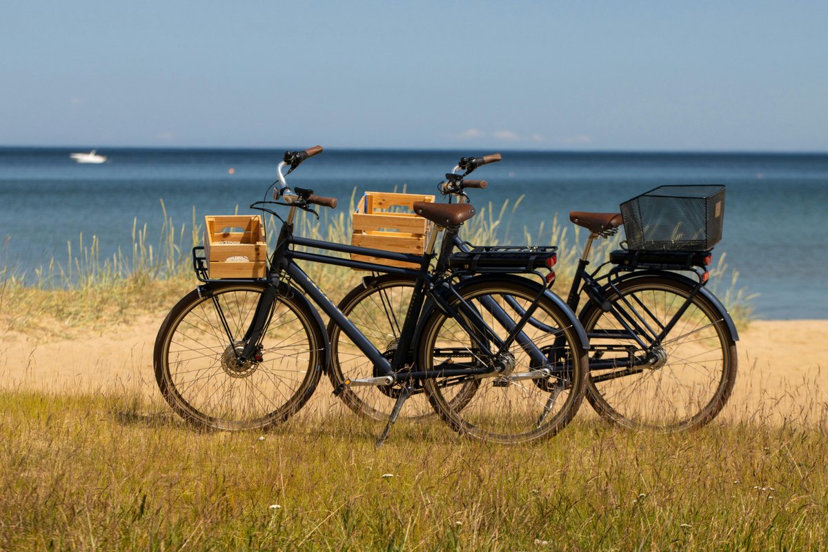 Alwhitley tweet media