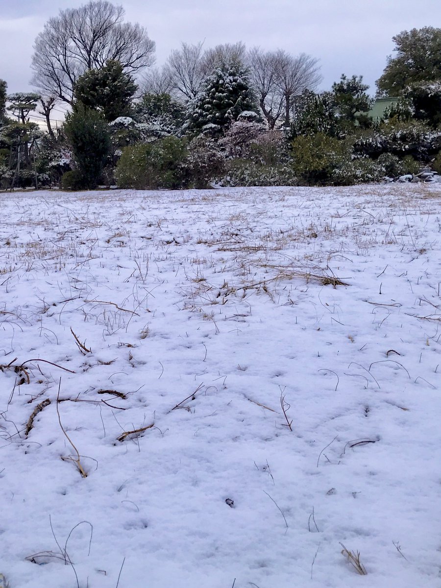 けっこう積もった❄️⛄️❄️