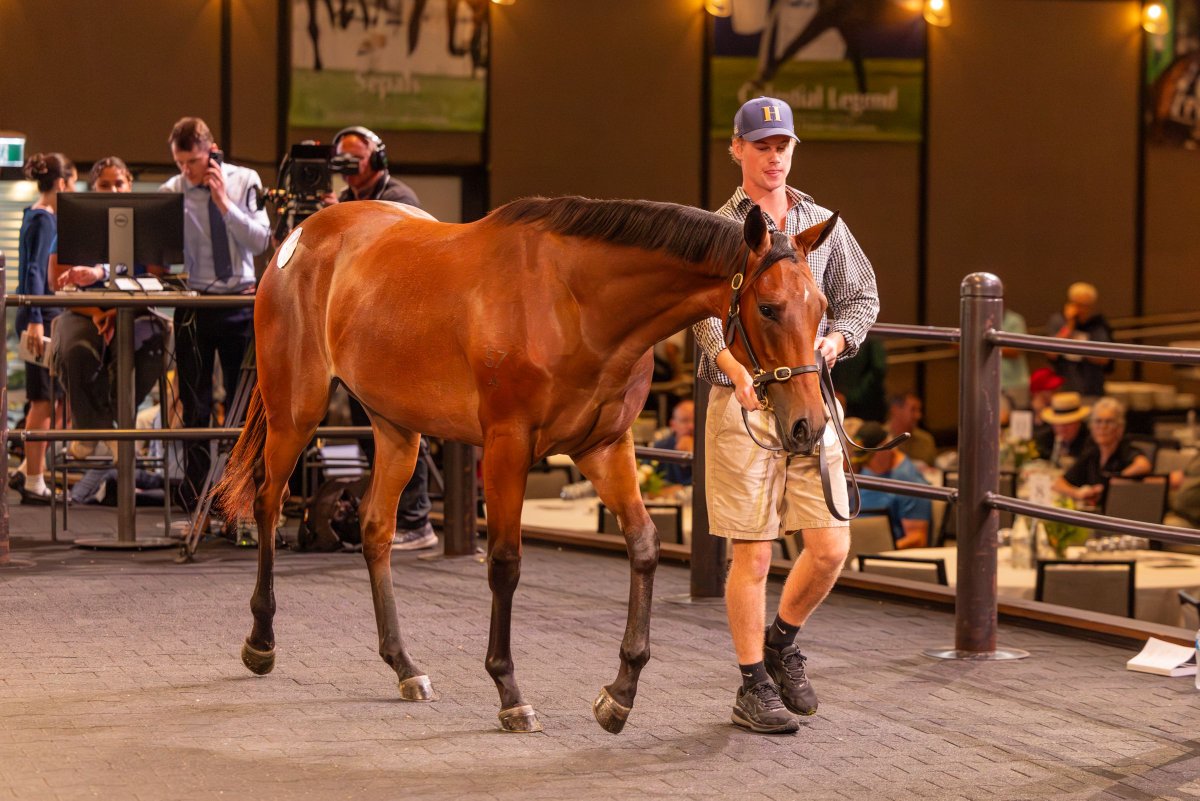 Dynamic Syndications tweet media