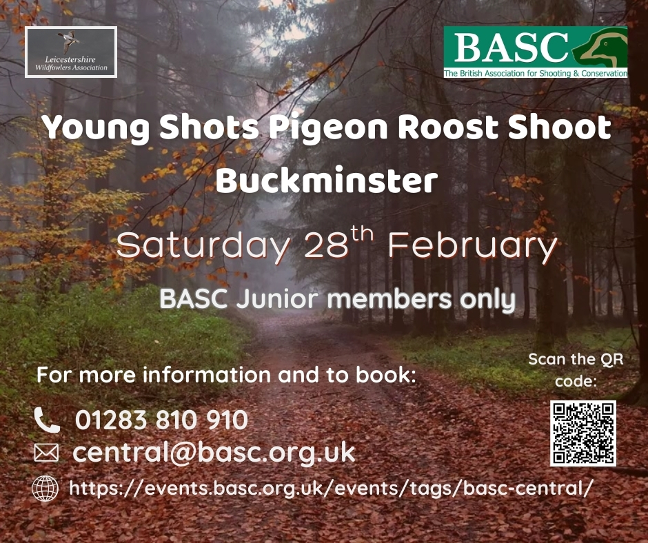 BASC Central tweet media