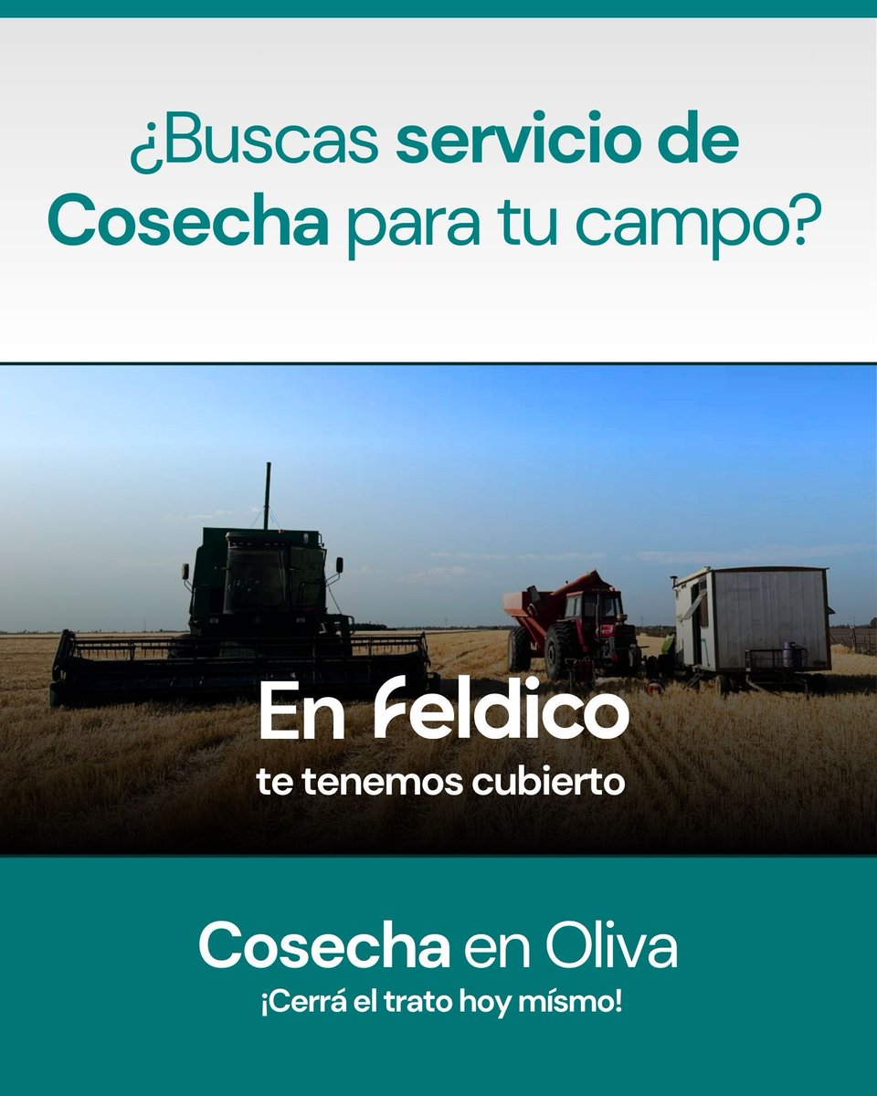 feldico's tweet image. 🌾 ¿Buscás Cosecha?
En Feldico te tenemos cubierto.

🚜 John Deere Other (1997)
📍 Oliva, Córdoba

💪 Características destacadas:
• Ancho de cosecha de 7m
• Sistema de trilla convencional

Cerrá el trato hoy 👇
🔗 feldico.com/cosecha/oliva-…

#feldico #agro #campoargentino