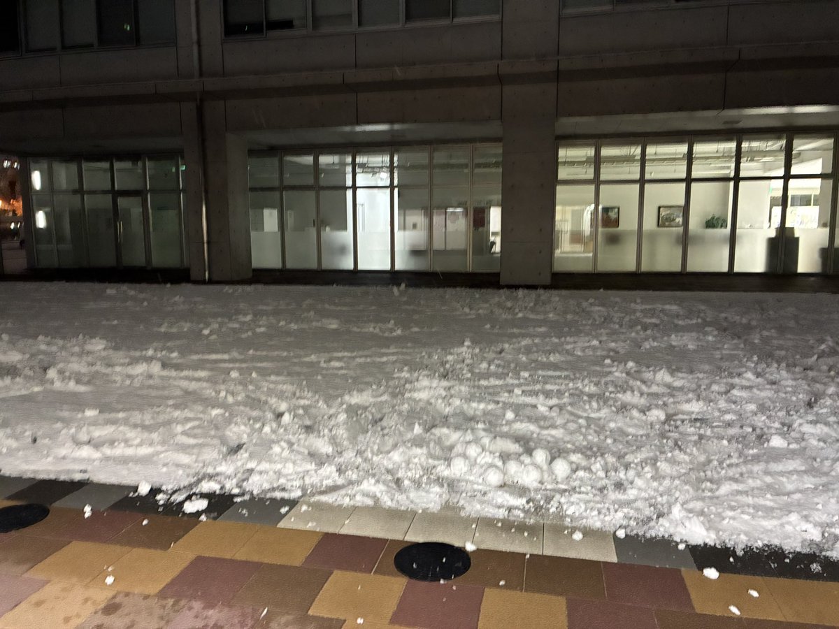 hat828's tweet photo. 今年もご縁あって、DoboXデータチャレンジ2025で学生の発表の機会をいただきました…が、雪降りすぎじゃない？ https://t.co/VpiMEtMc1y