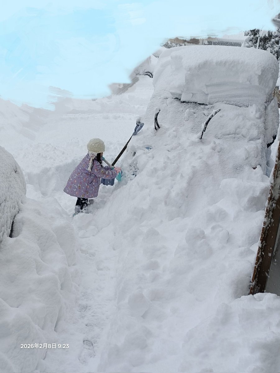 鳥取、一晩でこんなんです😭
日中も絶え間なく暴風雪でした😭
投票行くの困難です😭
(うちは行ったけど)
投票率低くても責めないで😭
期日前もすごく並んでて今日にしようと思ったけど雪でやっぱり行けないってなった人も多いと思う😭😭😭