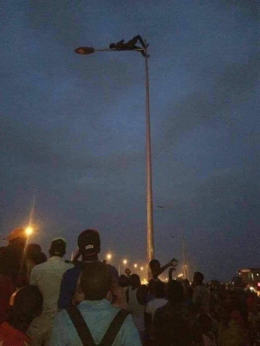 mide_io's tweet image. thief climbs electric pole to avoid beatings 😭