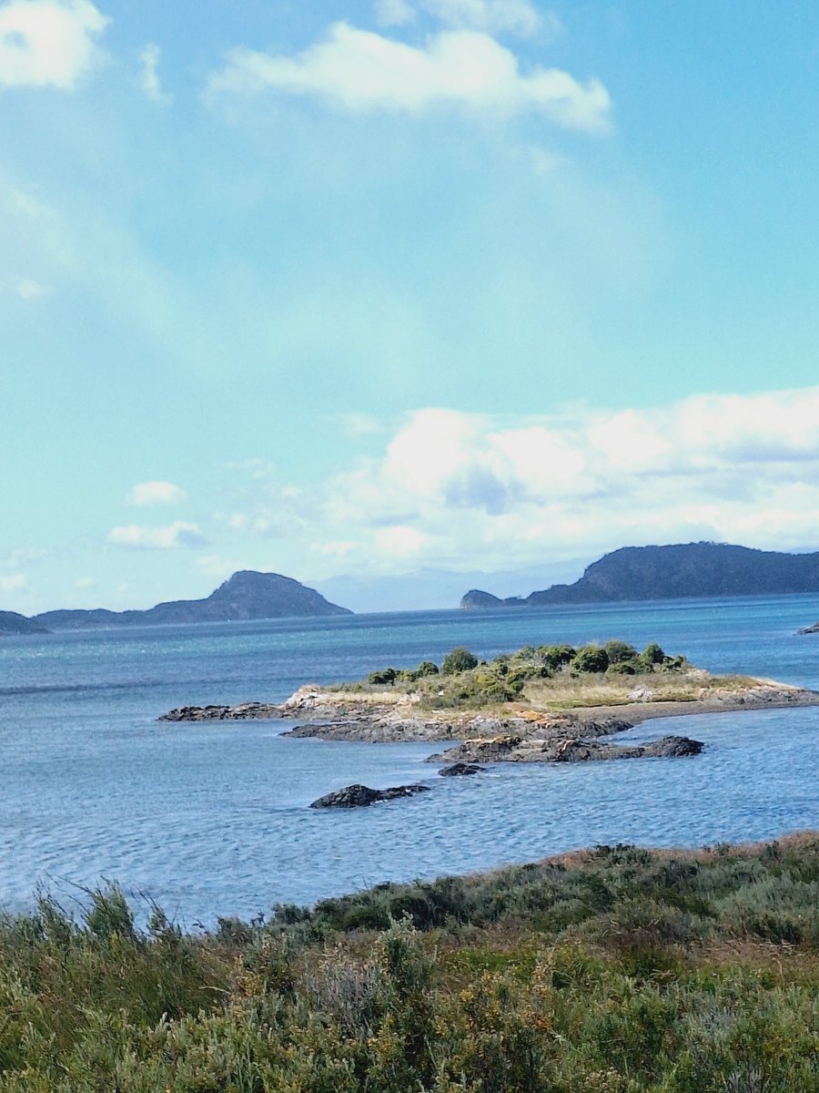 Laurent de Vries tweet media