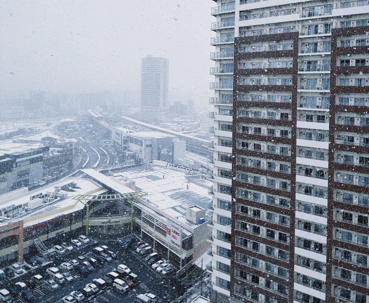 王局拍案 tweet media