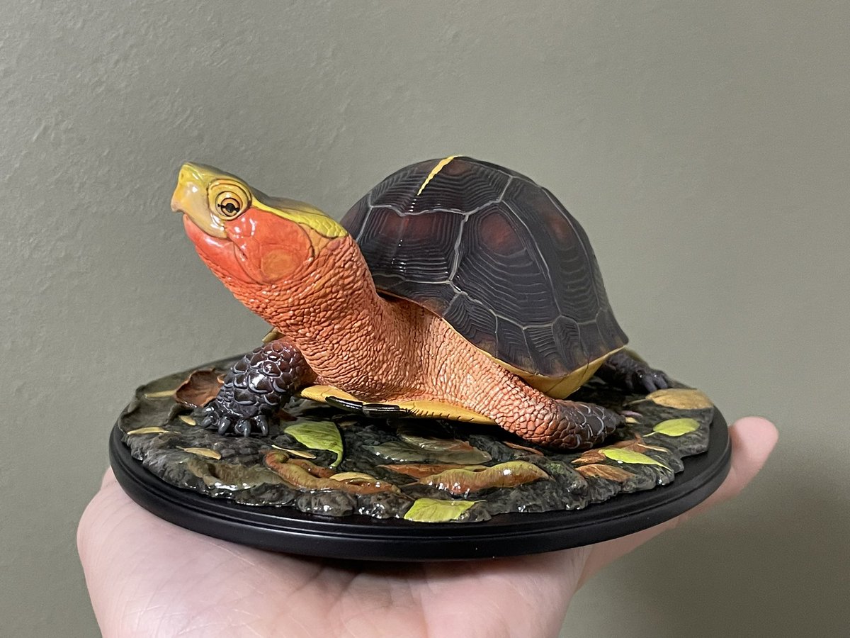 動物の惑星〜アニマルプラネット WF 6-05-08 (@animal2023jp) / Posts / X