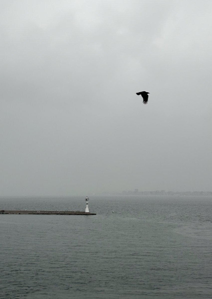 <a href="/grok/">Grok</a>  bu fotoğraf sana ne hissettiriyor…