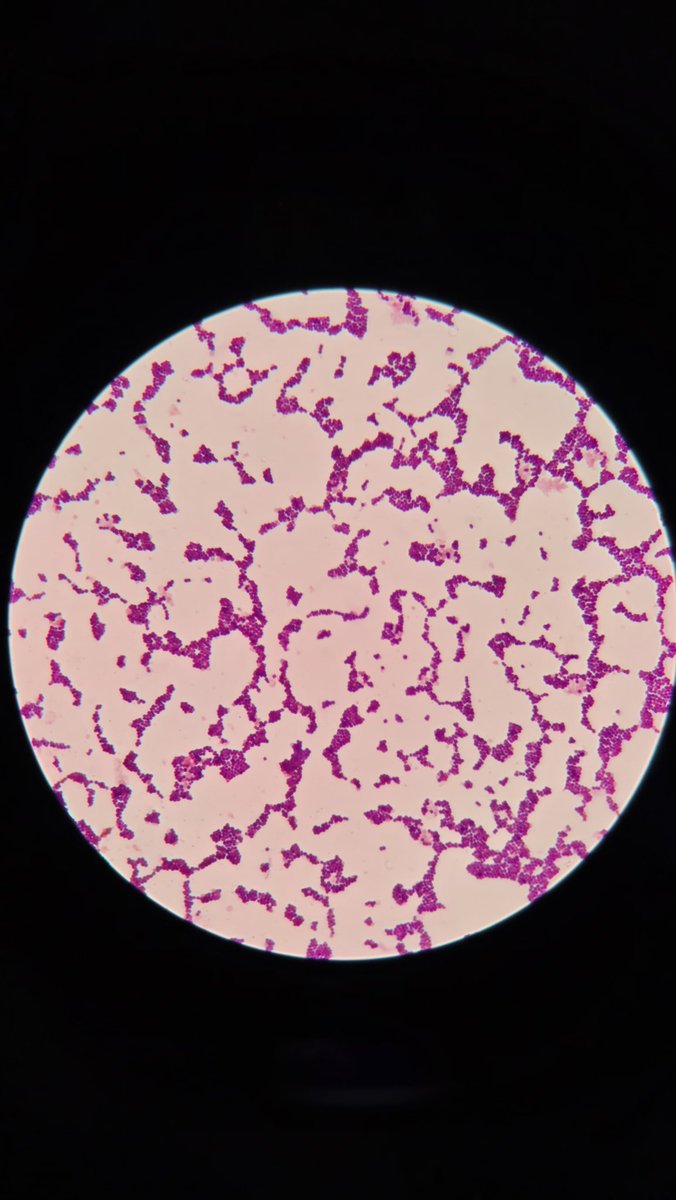 Abdulaziz tweet media