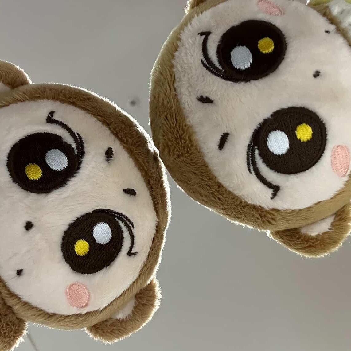 6uaes6uorr's tweet image. 정신이드숭?                                   일어나숭이