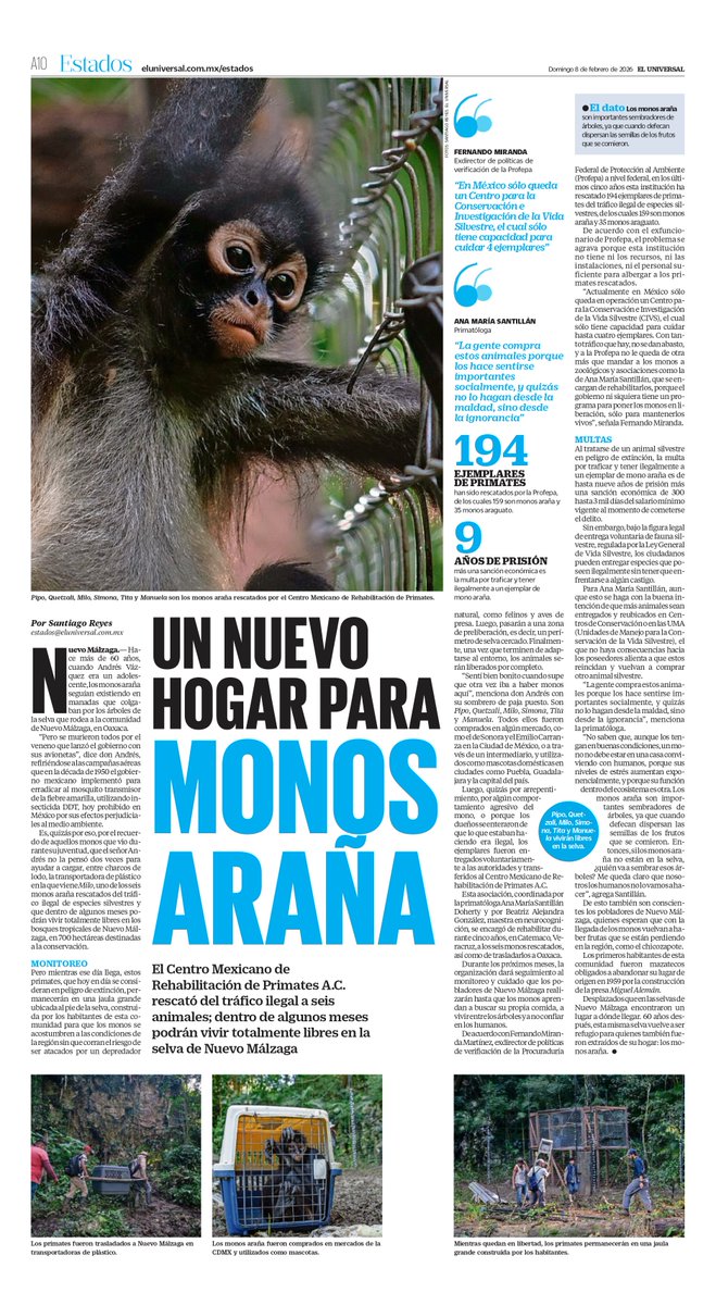 El_Universal_Mx's tweet image. ¡Buenos días, lectores! Iniciamos la jornada informativa con la portada de EL UNIVERSAL y sus secciones este 8 de febrero eluniversal.com.mx