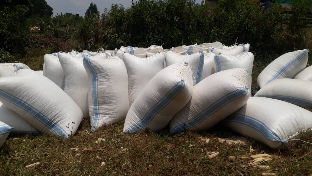 ken_nyabongo's tweet photo. @MbaziiraKazibwe We are busy fighting household poverty👍 https://t.co/3Oi1jlOzWN