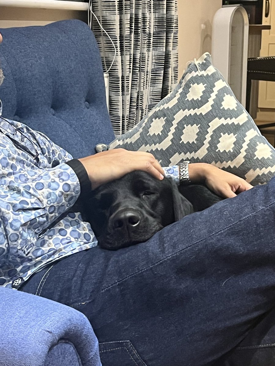 Dinan Gunawardena tweet media