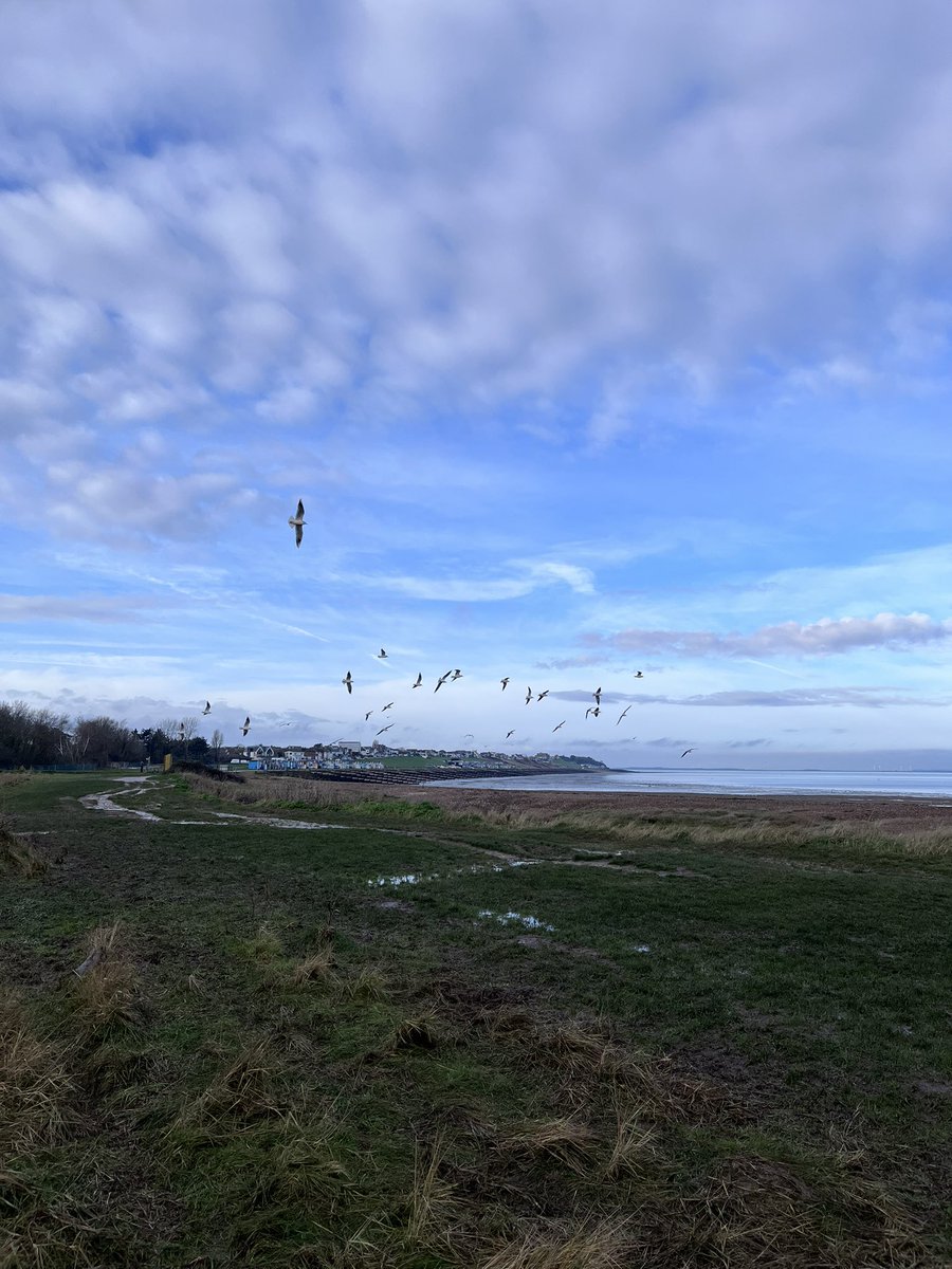 tweettankerton tweet media