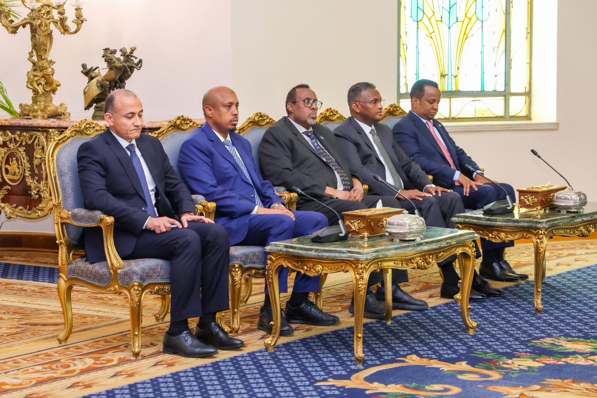 Villa Somalia tweet media