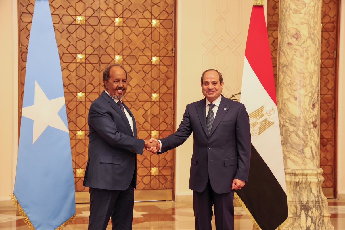 Villa Somalia tweet media
