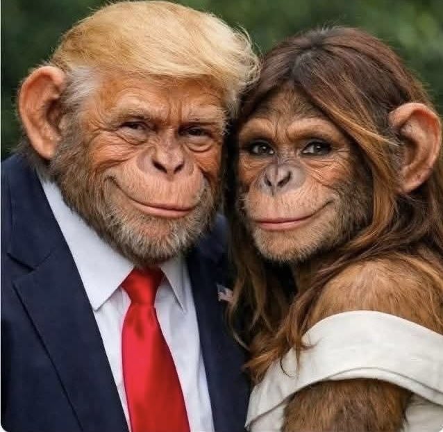 The new official White House portrait!