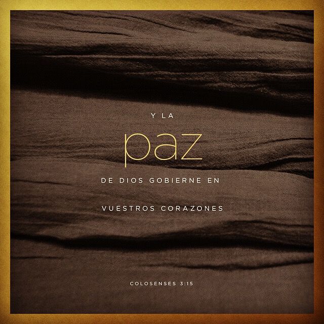 MiguelCruzVelz1's tweet photo. MI DIOS https://t.co/tCu1kZcIoV
