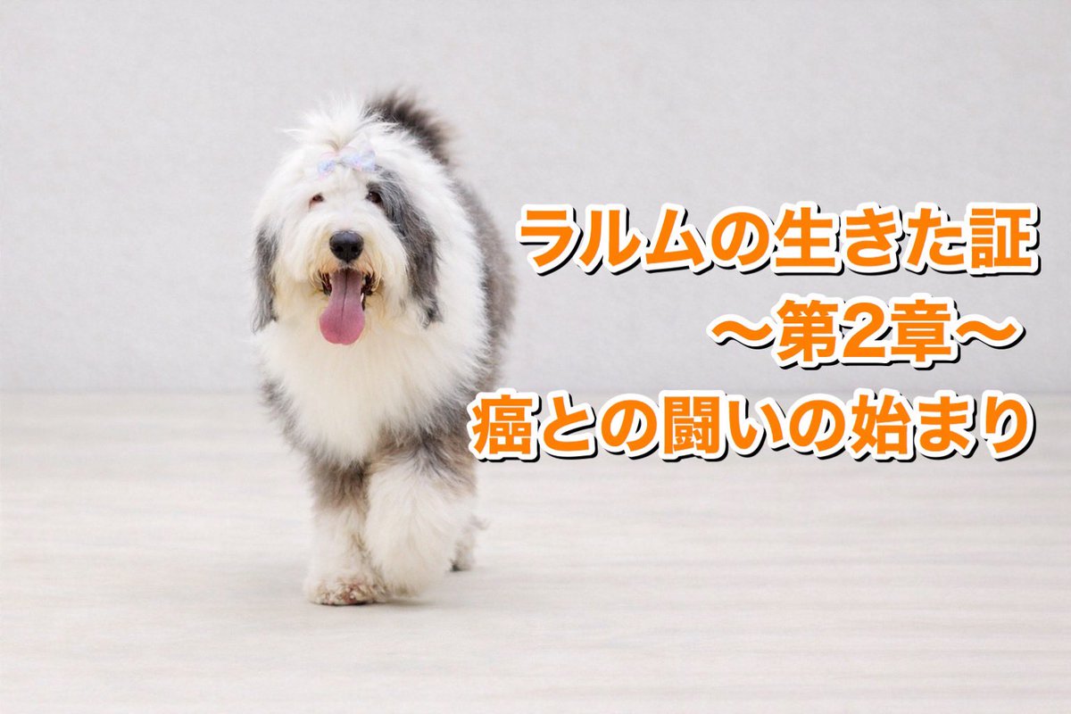 ラルムの生きた証を記録したYouTube動画、第2章を公開しました。

ありのままを記録しておりますので、
辛い部分も含まれますがかわいいかわいいラルムも詰まっていますのでご視聴いただけたら嬉しいです🐼💙

ラルムの生きた証〜第2章〜
癌との闘いの始まり
youtu.be/_2_xFGtlwOs?si…