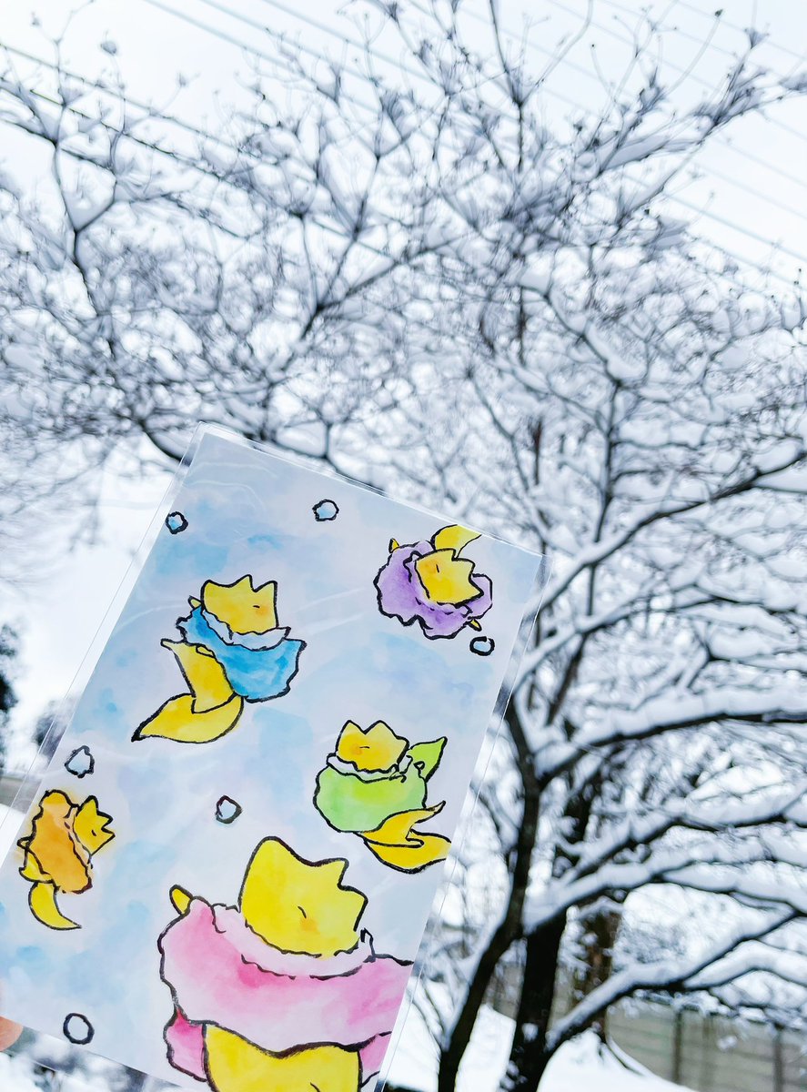 舞い散る❄️🦊
#きいろいきつね