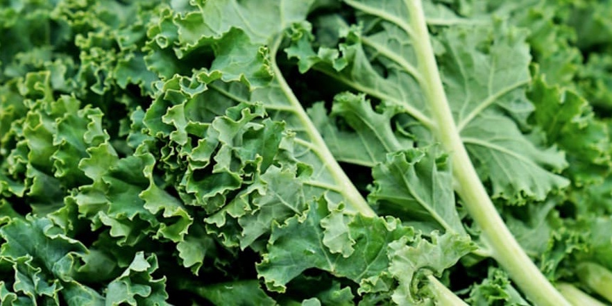 Ergogenics tweet media