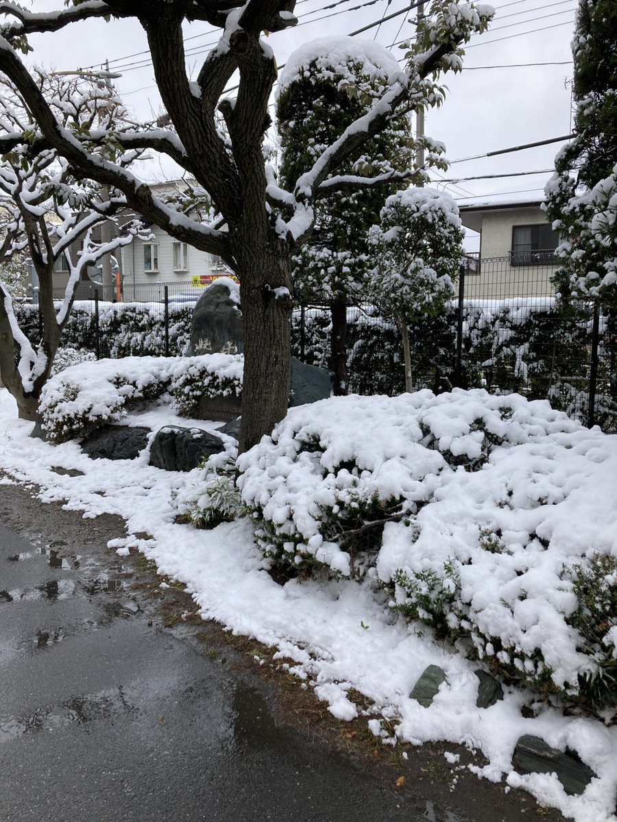 今日投票行ってきました✨

今回も投票所で見かけた人は現役ファミリー層が多かった

会場が雪で風流でした😀