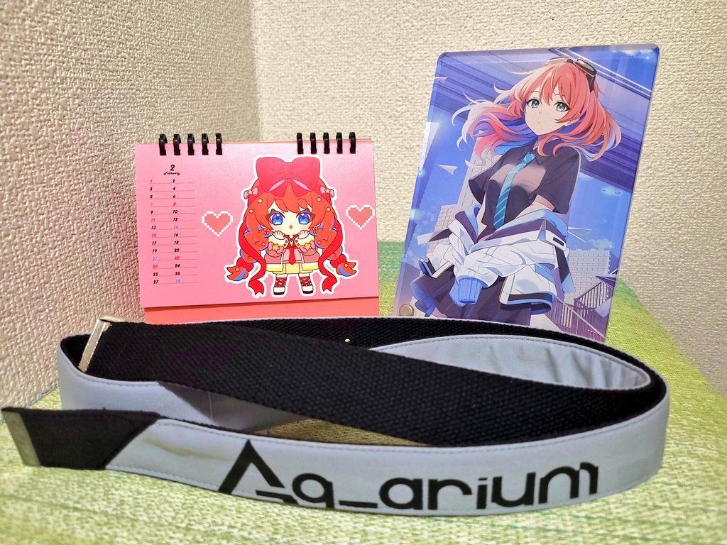 カイリちゃん変身ベルトが届きましたヽ(´▽｀)/ﾜｰｲ
変身ポーズはクウガ？龍騎？どっちがいい？？(仮面ライダーそれしか見てない(´˙꒳​˙ ｀))  #多々星カイリ