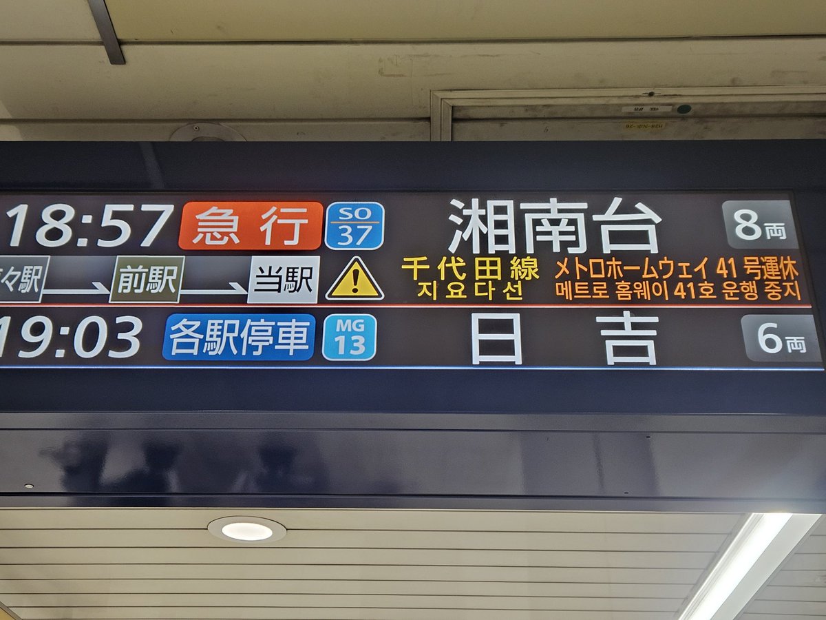 さかぴぃ tweet media