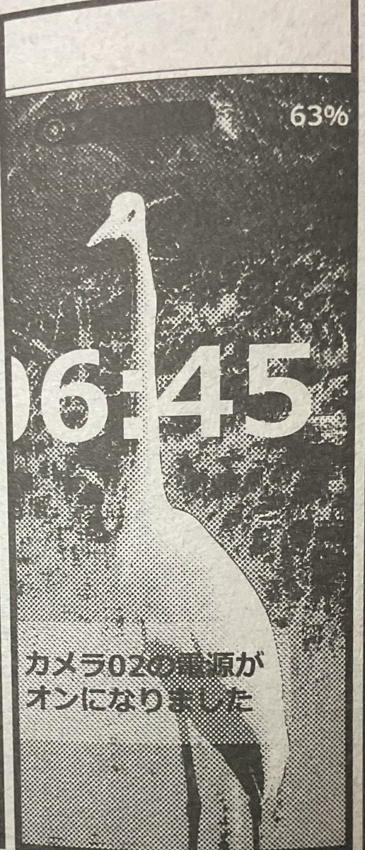 遅れましたがコミックヘヴン出てます!
長谷川真也先生の新連載、表紙とのギャップ‼︎
『おねチャ。』53話は崩れ始めた危ういバランスの舞台…踊り子は、観客は…そして舞台に無理やり上げられてしまった生贄たちはどうなるのか…!!!
なおリアナのスマホ待受の鳥写真はもいろみ氏撮影。(h 