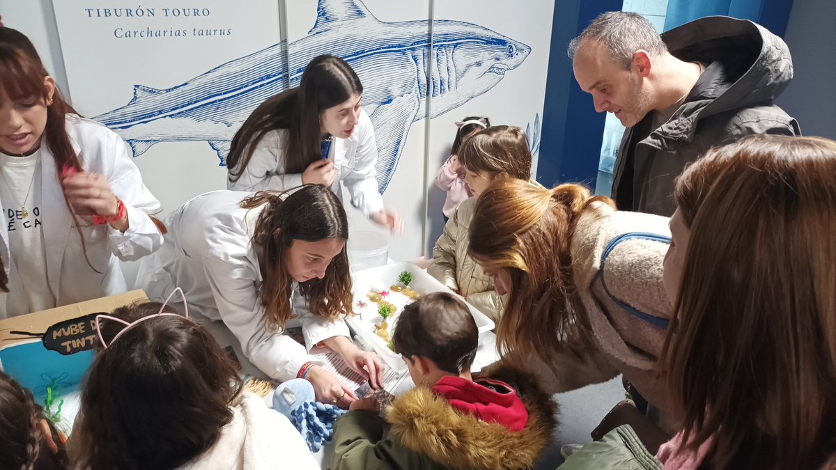 Vanessa Valdiglesias tweet media